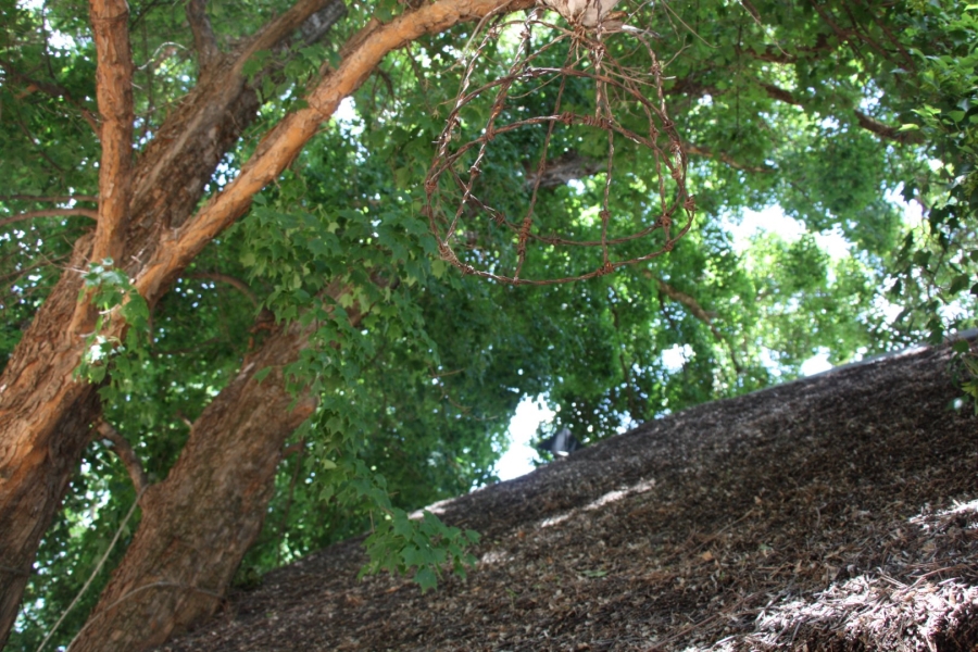 4 Bedroom Property for Sale in Dan Pienaar Free State